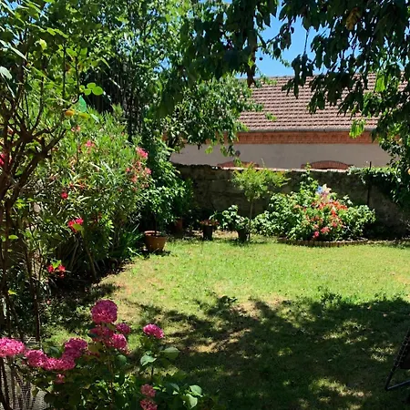 Superbe T2 Climatise Avec Patio Et Jardin Apartman