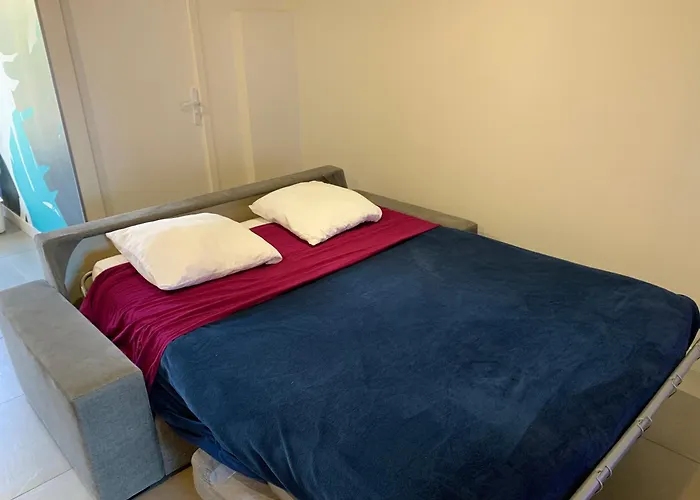 Appartement Superbe T2 Climatise Avec Patio Et Jardin *