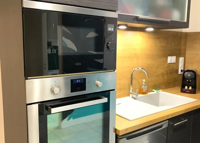 Appartement Superbe T2 Climatise Avec Patio Et Jardin