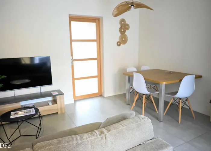 Superbe T2 Climatise Avec Patio Et Jardin *